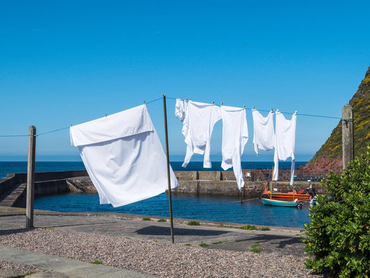 Witte was wit houden coverfoto